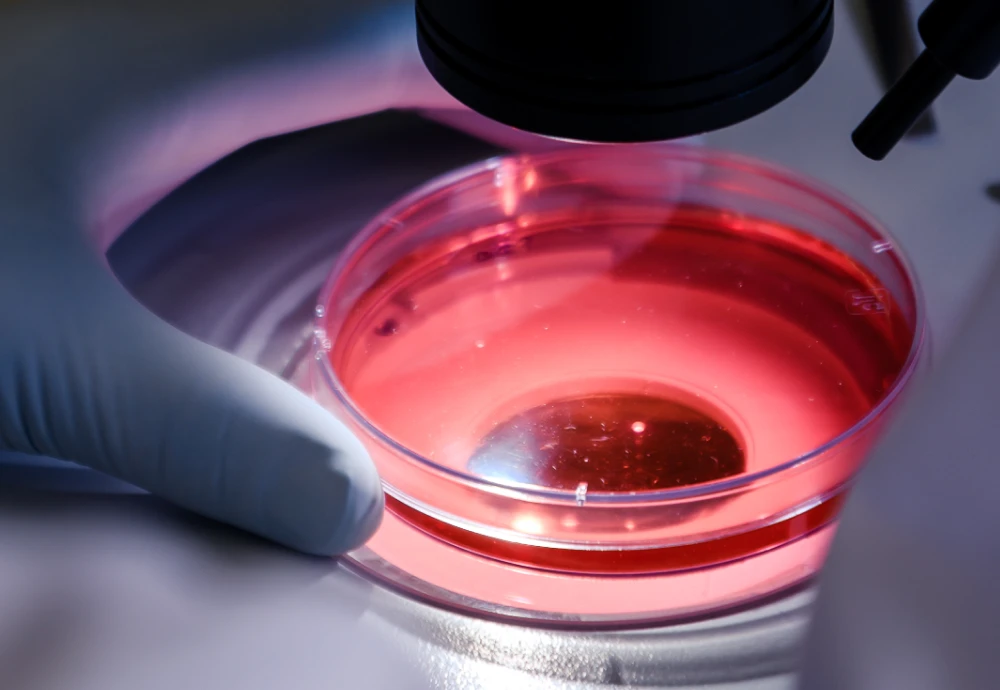 where can i buy a microscope