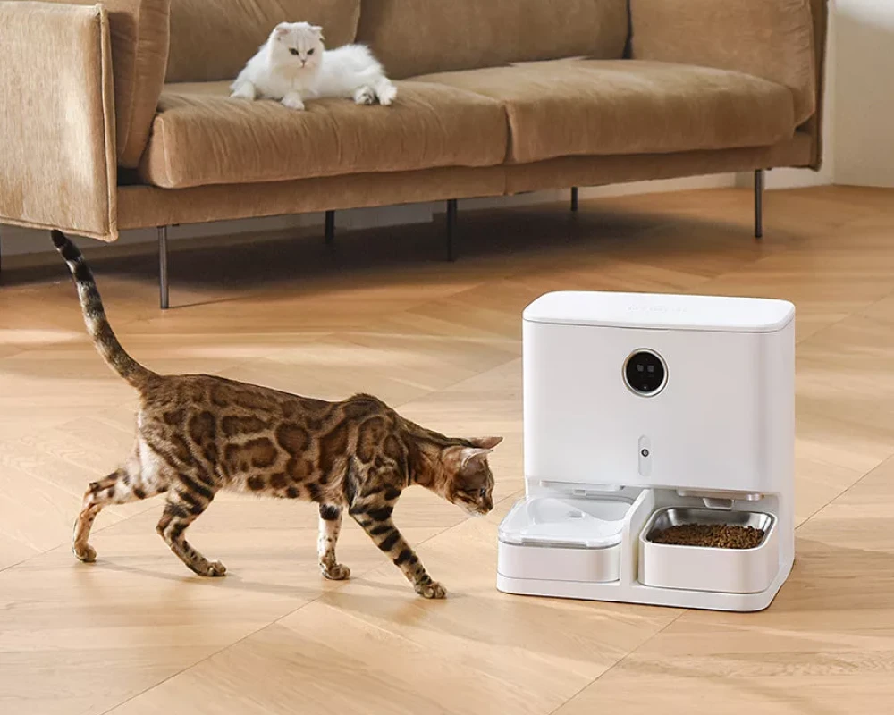 automatic pet feeder