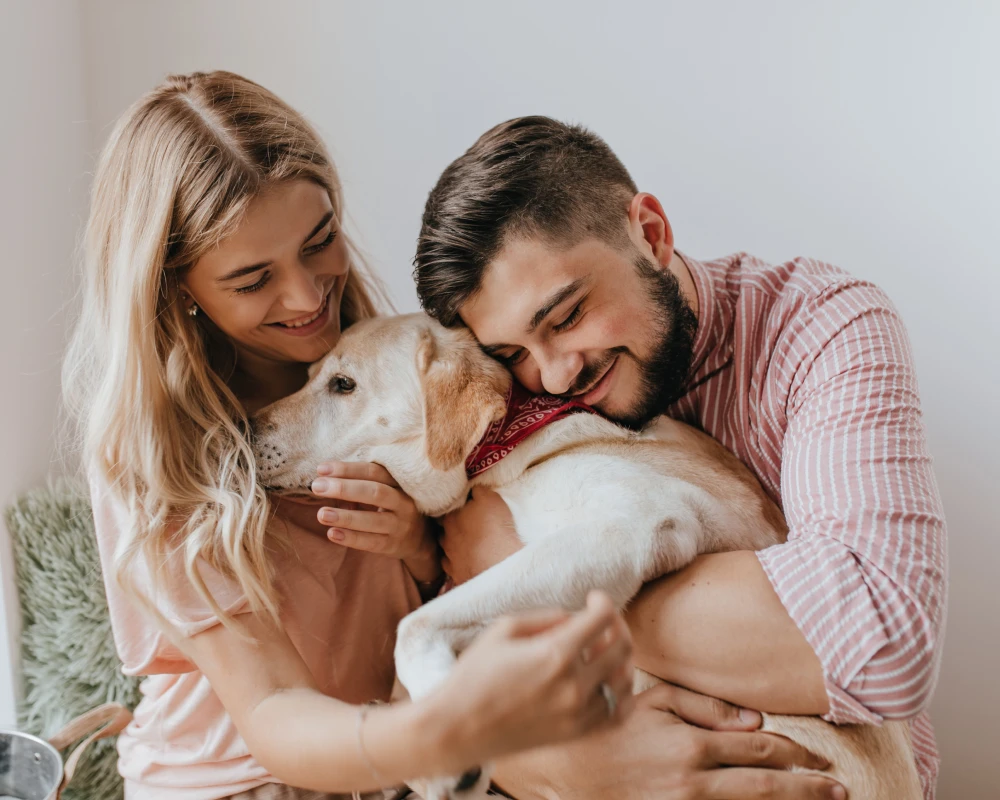automatic dry food pet feeder